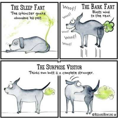 Hier ist der Spaßthread. Zum Schmunzeln und Kaputtlachen-Beitrag-Bild