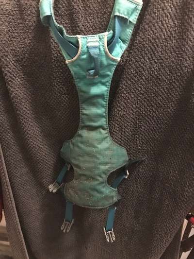 Bastelstunde für den Vierbeiner-Beitrag-Bild