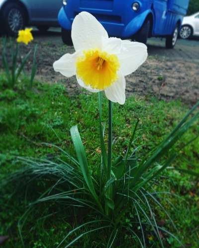 Die wunderschöne Welt mit Hund.-Beitrag-Bild