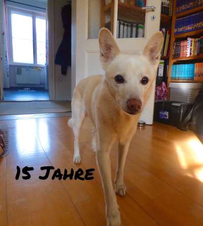 Vorher.... Nachher-Beitrag-Bild