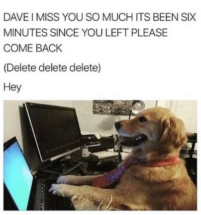 Hunde Memes-Beitrag-Bild