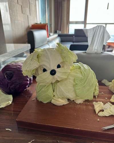 Hunde Memes-Beitrag-Bild