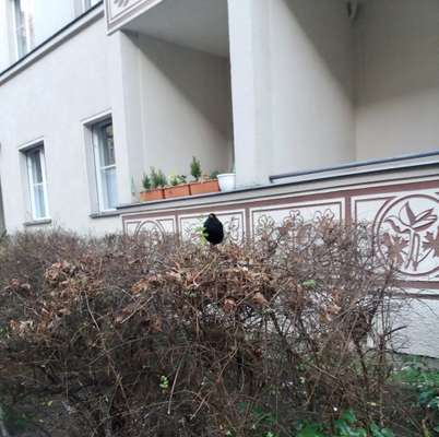 Die wunderschöne Welt mit Hund.-Beitrag-Bild