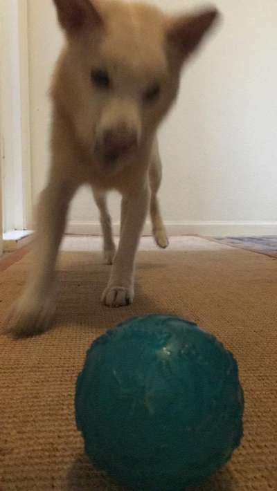 Un...scharf Bilder-Beitrag-Bild