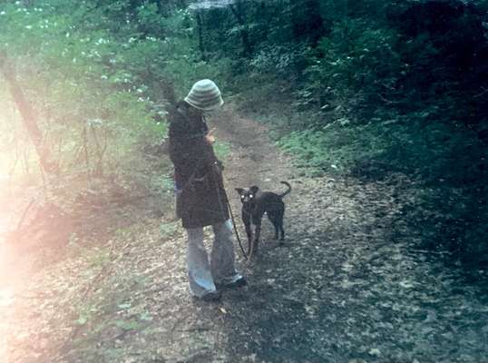 Un...scharf Bilder-Beitrag-Bild