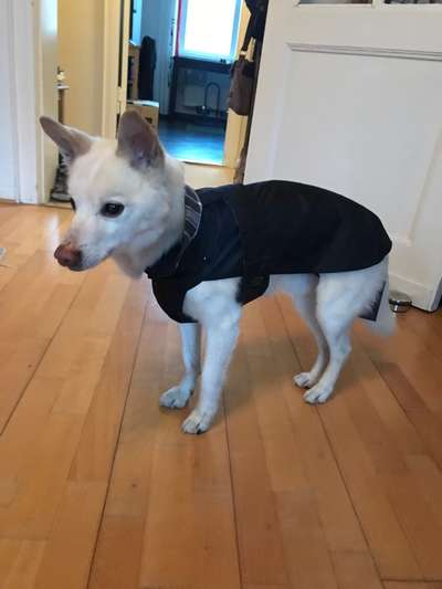 Pullis, Jacken, Hütte und alles sonstiges-Beitrag-Bild