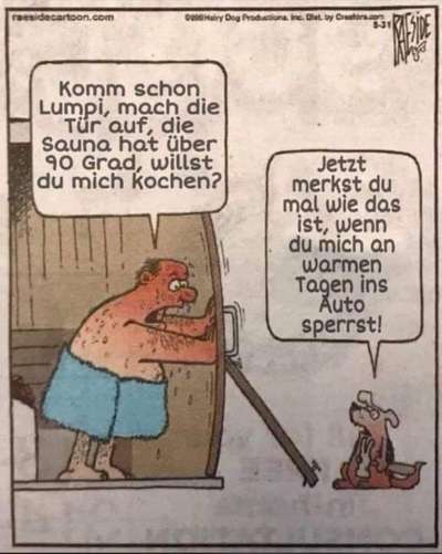 Hunde Memes-Beitrag-Bild