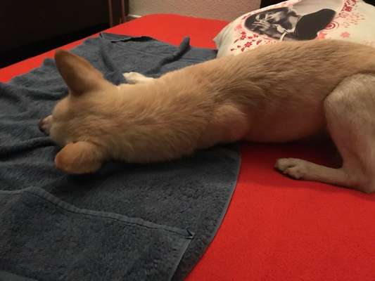 Die unbequemsten und lustigsten Schlafpositionen-Beitrag-Bild