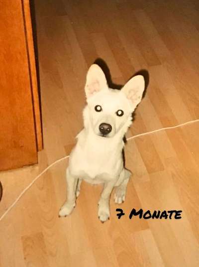 Vorher.... Nachher-Beitrag-Bild