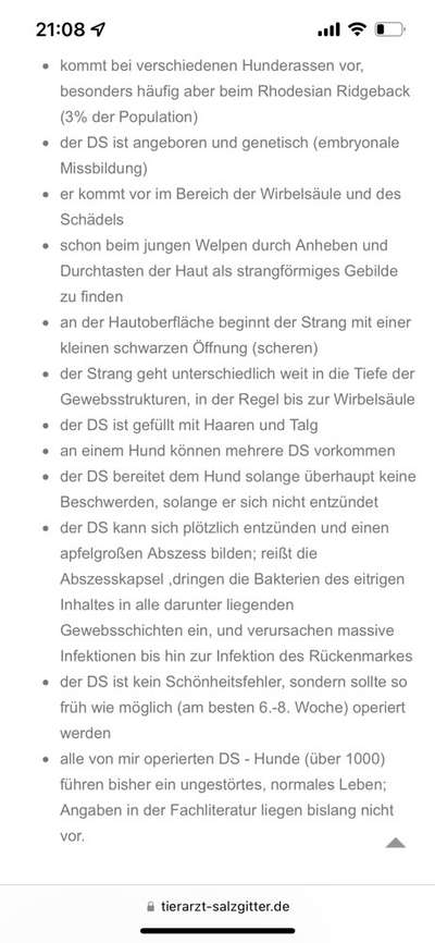 Brachycephale Hunderassen-Beitrag-Bild