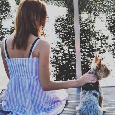 Dogorama-Monats-Challenge-Mai "Wasser"-Beitrag-Bild