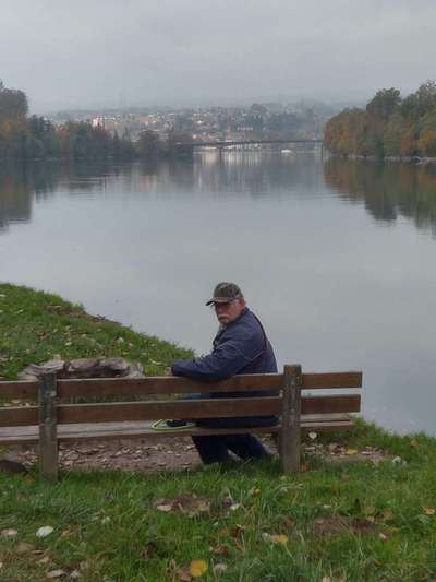 Hundeauslaufgebiet-Rheinsulz-Bild