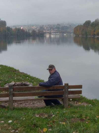 Hundeauslaufgebiet-Rheinsulz-Bild