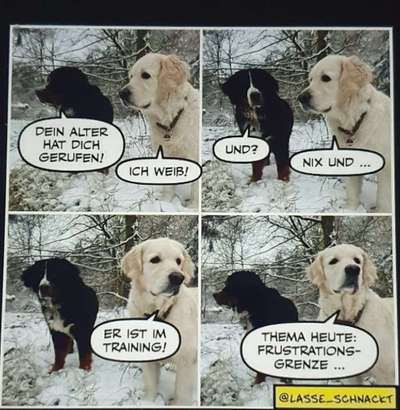 TierschutzhundeStammtisch🐕-Beitrag-Bild