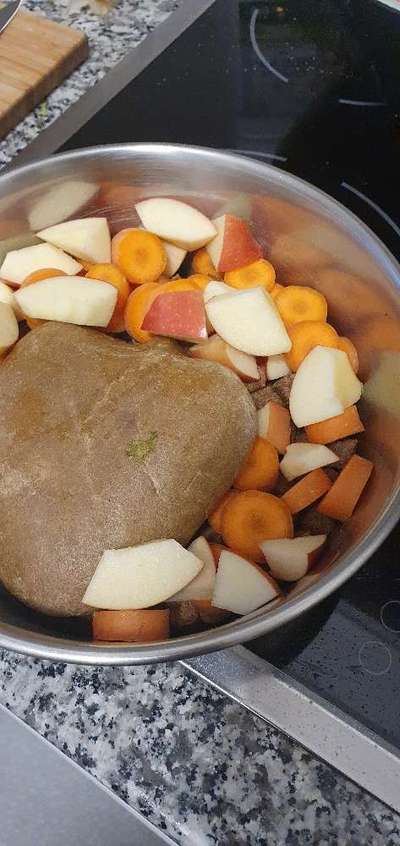 TierschutzhundeStammtisch🐕-Beitrag-Bild