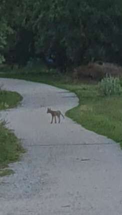 TierschutzhundeStammtisch🐕-Beitrag-Bild