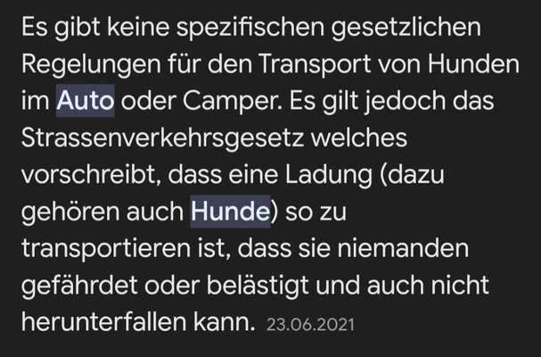 TierschutzhundeStammtisch🐕-Beitrag-Bild