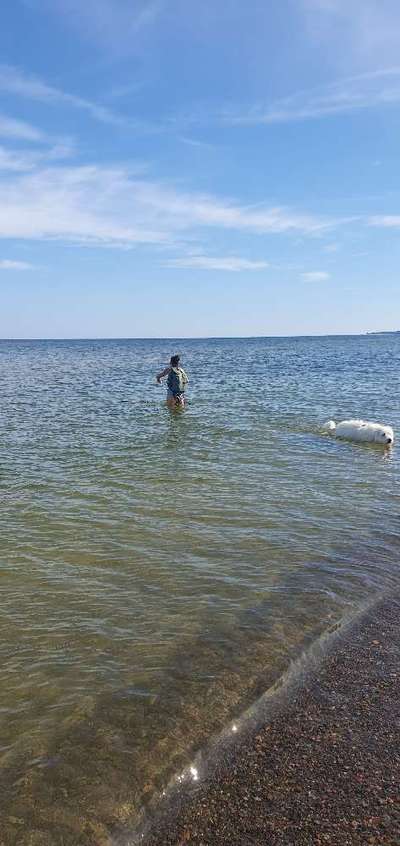 TierschutzhundeStammtisch🐕-Beitrag-Bild