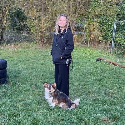 Hundetreffen-Social Walk im Fennpfuhl / Volkspark Prenzlauer Berg