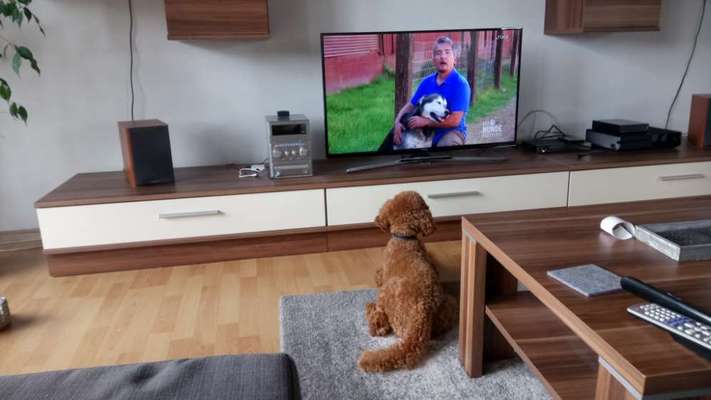 Fotochallenge No. 5-Beitrag-Bild