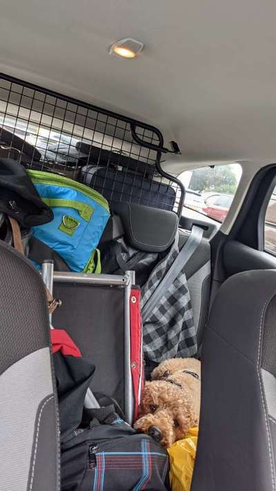 Die Dogorama Wochen Challenge-Beitrag-Bild