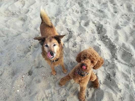 Eure Strandbilder :)-Beitrag-Bild