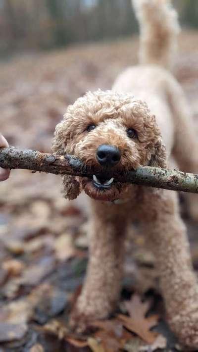 Fotochallange Nr. 57     PORTRÄT.   Beendet!!!!!!!!-Beitrag-Bild