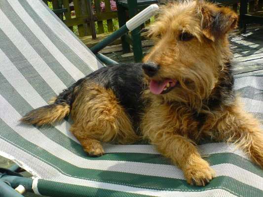 Fotochallenge Nr. 56 - geliebte Senioren-Beitrag-Bild