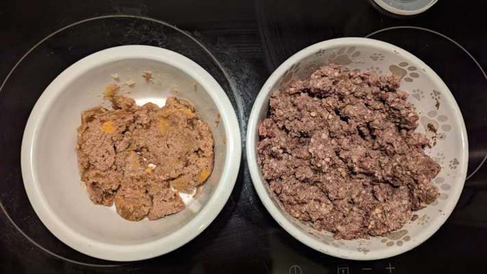 Hochwertiges / Bedarfsgerechtes Nassfutter (ohne Barfen), welches nur?-Beitrag-Bild