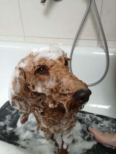 Foto Challenge - BEENDET - bitte aktuelle Challenge nutzen-Beitrag-Bild