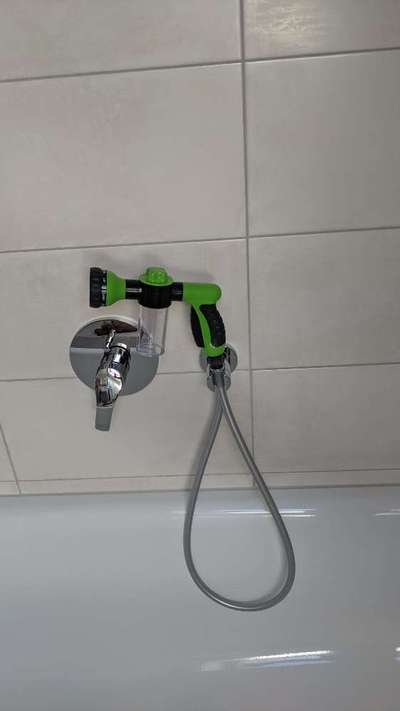 Alles rund um den Pudel-Beitrag-Bild