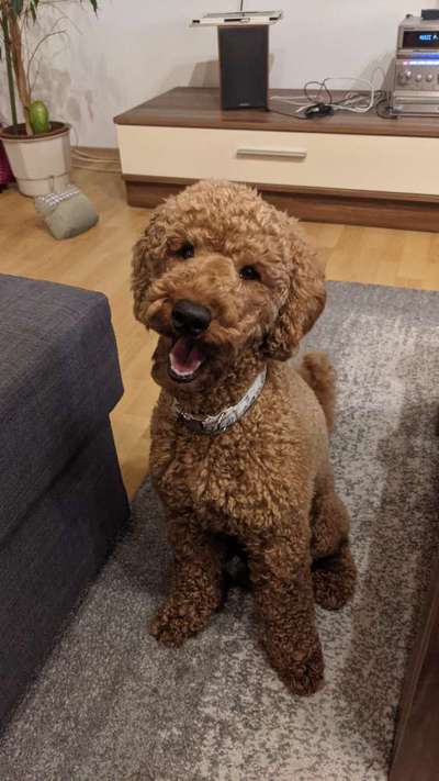 Challenge Nr. 10: "Das schönste Lächeln"-Beitrag-Bild