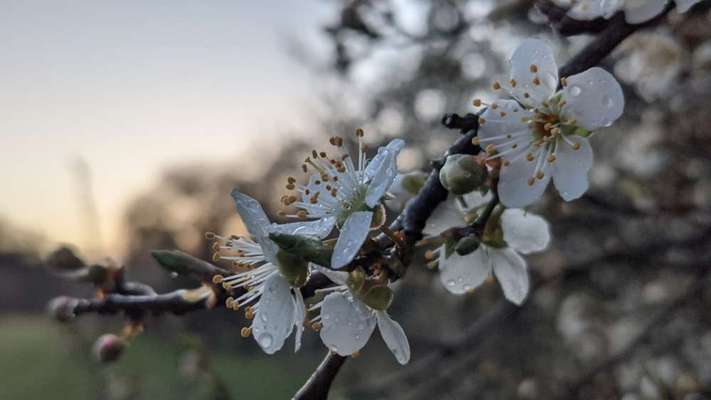 Die wunderschöne Welt mit Hund.-Beitrag-Bild