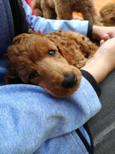 Foto Challenge 3-Beitrag-Bild