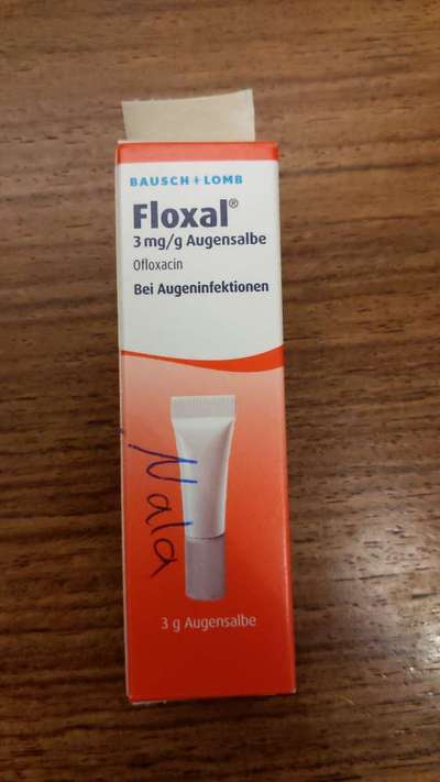 Bindehautentzündung bei Paco-Beitrag-Bild