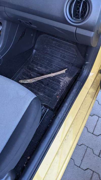 Zeig mir, dass du mit einem hund zusammenlebst....-Beitrag-Bild