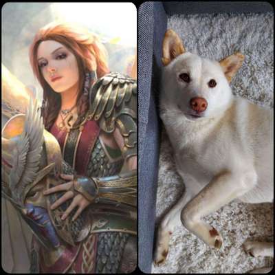 Wie heißt dein Hund?-Beitrag-Bild