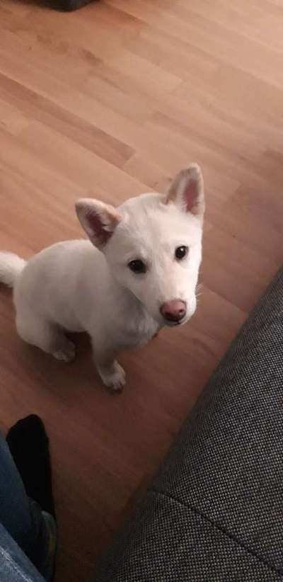 Erfahrungen mit Panacur 500?-Beitrag-Bild