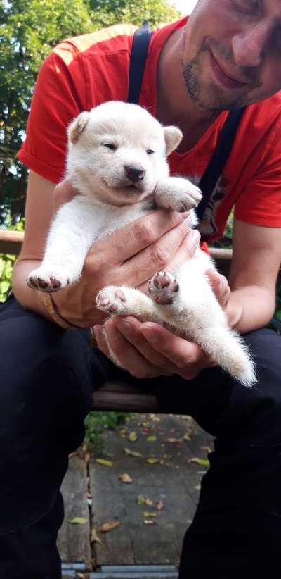 Foto Challenge 3-Beitrag-Bild