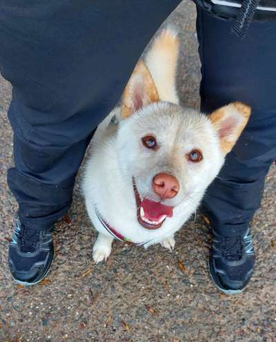 Handy-Foto Challange Nr. 10-Beitrag-Bild