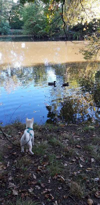 Foto Challenge - BEENDET - bitte aktuelle Challenge nutzen-Beitrag-Bild