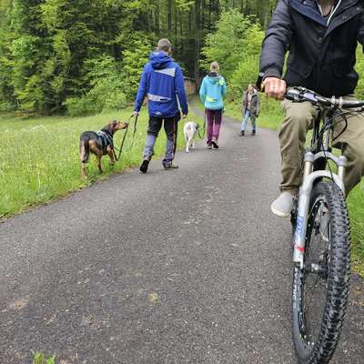 Giftköder-Lernspaziergang-Bild