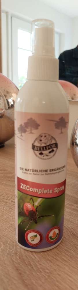 Rhodesian Ridgeback-Beitrag-Bild