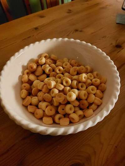 Rhodesian Ridgeback-Beitrag-Bild