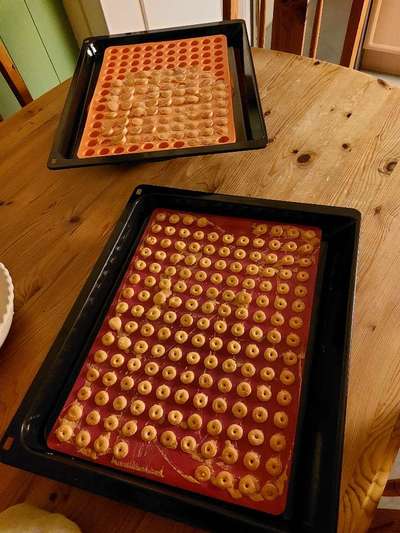 Rhodesian Ridgeback-Beitrag-Bild