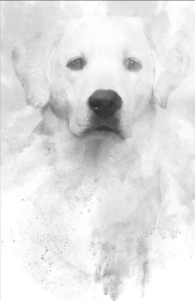 Zeichnungen eurer Hunde-Beitrag-Bild