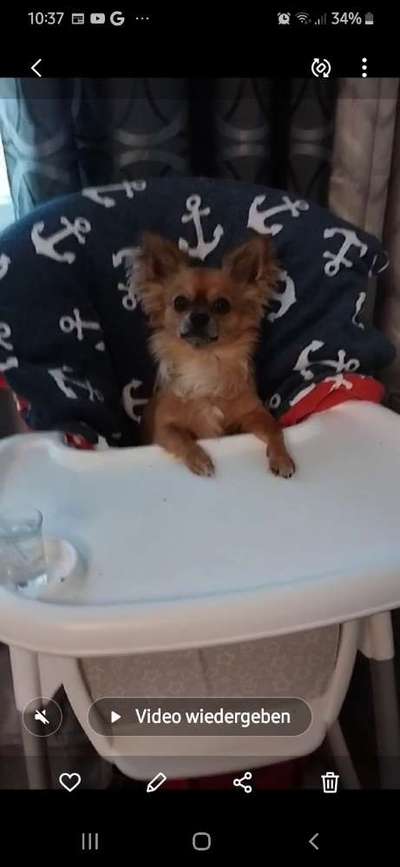 Starker Reflux Sodbrennen-Beitrag-Bild