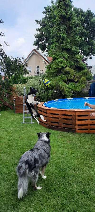 Fotochallenge Nr. 52 „Spring!“-Beitrag-Bild