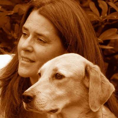 Hundeschulen-Mobile Hundeschule Bergstrasse -Bild