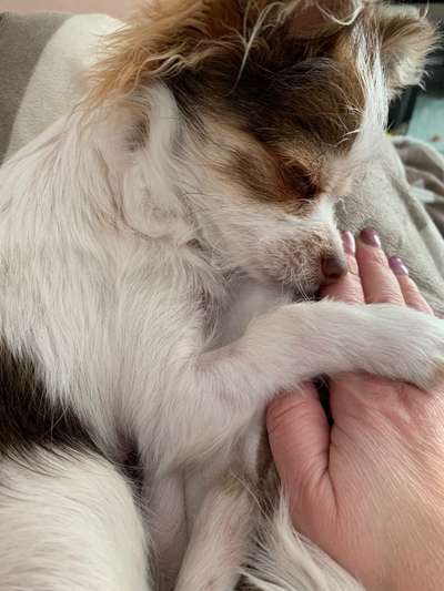 KUSCHEL PARTNER-Beitrag-Bild